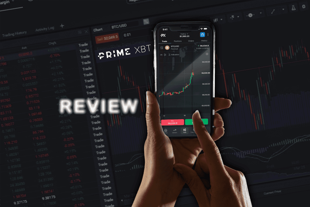 Discover the PrimeXBT Team Innovators in Cryptocurrency Trading Discover the PrimeXBT Team Innovators in Cryptocurrency Trading