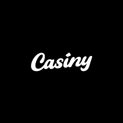 Understanding Casiny Login A Complete Guide